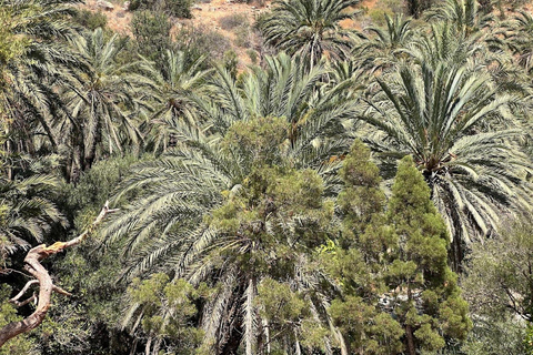 Agadir: Paradise Valley & Atlas Mountains Day Trip