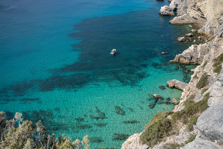 Boat, Wine, Tapas & SUP from Sesimbra - Arrábida Arrábida: Group Boat Tour from Sesimbra (10px)