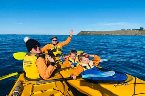 Kaikoura: Guided Family Kayaking Adventure