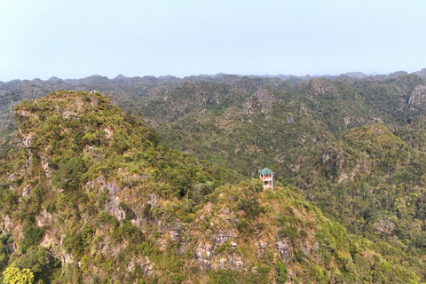 Half Day Hiking to Cat Ba National Park with a Guide