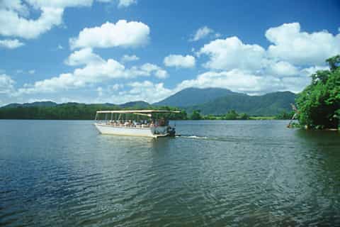 cairns daintree rainforest wildlife experience cruise