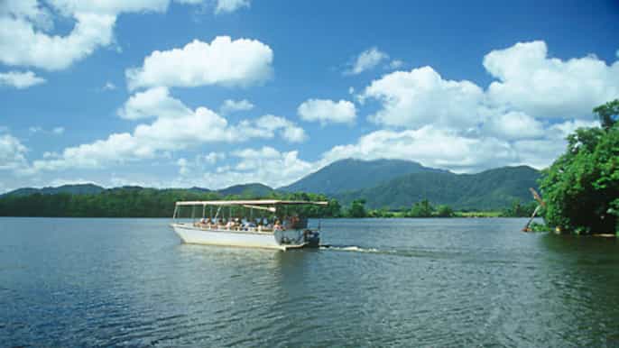 cairns daintree rainforest wildlife experience cruise