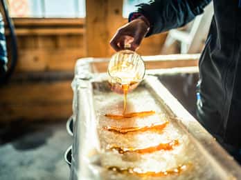 Montreal: Tagesausflug zu Sugar Shack Maple Syrup mit Mittagessen Montreal: Tagesausflug zu Sugar Shack Maple Syrup mit Mittagessen