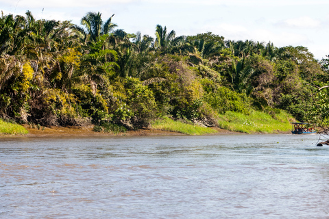 Tamarindo : Visite du parc national de Palo Verde