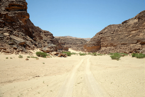 Sharm El Sheikh: Jeep, Quad, Sandboarding & Stargazing