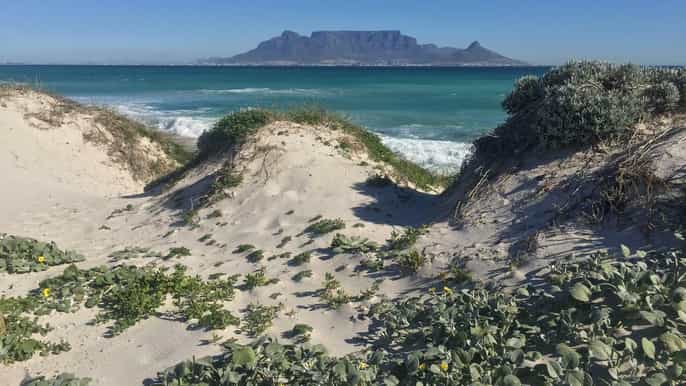 cidade do cabo tour de ebike da table bay coastal