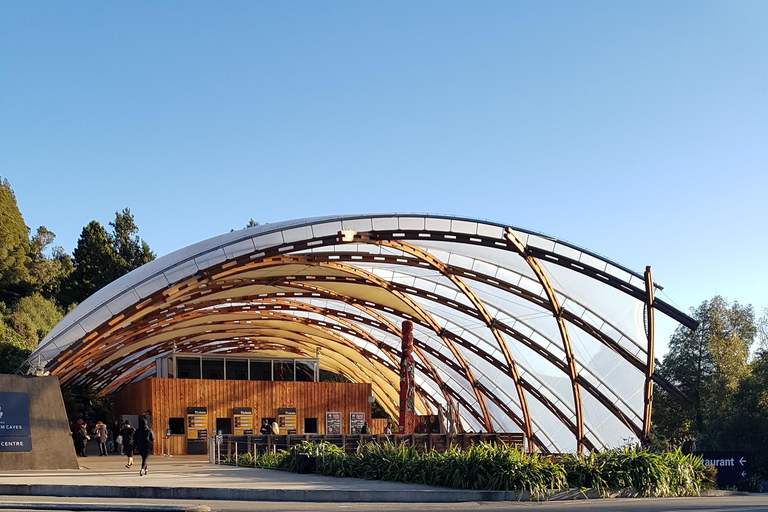 Da Rotorua ad Auckland - Trasferimento pomeridiano con Waitomo Caves