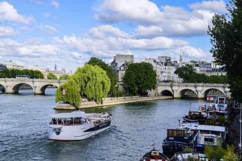 paris guided cruise on the river seine