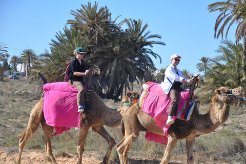 Djerba: Camel Ride to the Blue Lagoon at Sunset