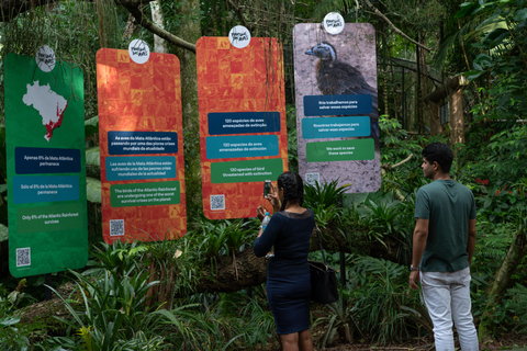 Foz do Iguaçu: wycieczka z przewodnikiem po wodospadach Iguazu i parku ptakówFoz do Iguaçu: Wycieczka z przewodnikiem po wodospadach Iguazu i Parku Ptaków