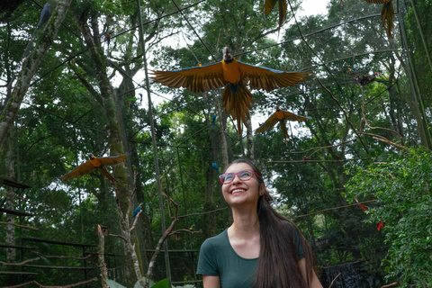 Foz do Iguaçu: Tour guiado de las Cataratas del Iguazú y el Parque de las AvesFoz de Iguazú: visita guiada a las Cataratas del Iguazú y al Parque de las Aves