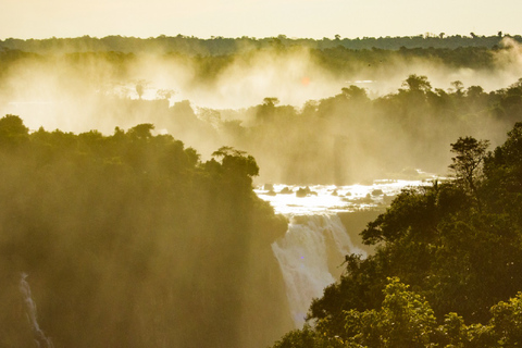 Foz do Iguaçu: Tour guiado de las Cataratas del Iguazú y el Parque de las AvesFoz de Iguazú: visita guiada a las Cataratas del Iguazú y al Parque de las Aves