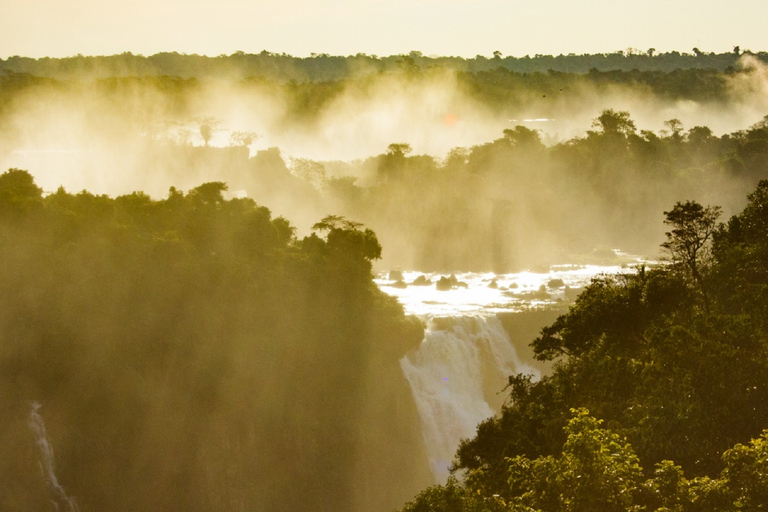 Foz do Iguaçu: Tour guiado de las Cataratas del Iguazú y el Parque de las AvesFoz de Iguazú: visita guiada a las Cataratas del Iguazú y al Parque de las Aves