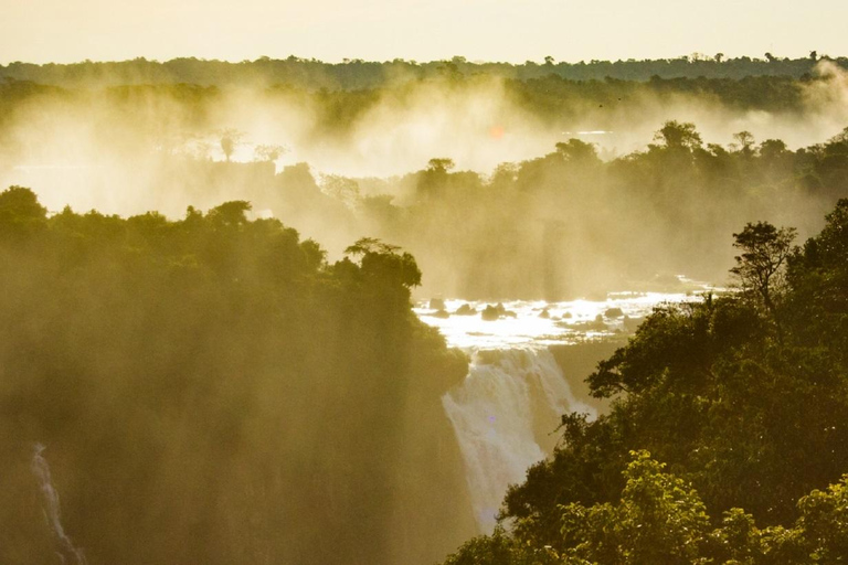 Foz do Iguaçu: Tour guiado de las Cataratas del Iguazú y el Parque de las AvesFoz de Iguazú: visita guiada a las Cataratas del Iguazú y al Parque de las Aves