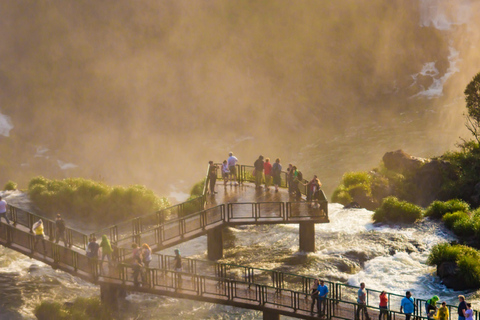 Foz do Iguaçu: Tour guiado de las Cataratas del Iguazú y el Parque de las AvesFoz de Iguazú: visita guiada a las Cataratas del Iguazú y al Parque de las Aves
