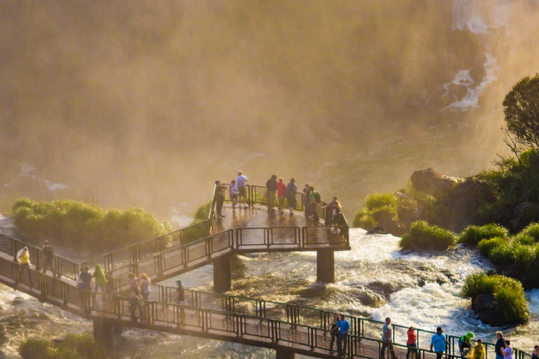 Foz do Iguaçu: Tour guiado de las Cataratas del Iguazú y el Parque de las AvesFoz de Iguazú: visita guiada a las Cataratas del Iguazú y al Parque de las Aves