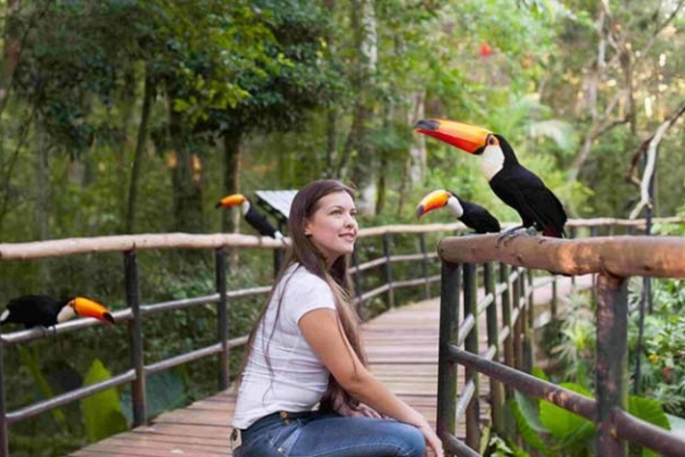 Foz do Iguaçu: Tour guiado de las Cataratas del Iguazú y el Parque de las AvesFoz de Iguazú: visita guiada a las Cataratas del Iguazú y al Parque de las Aves