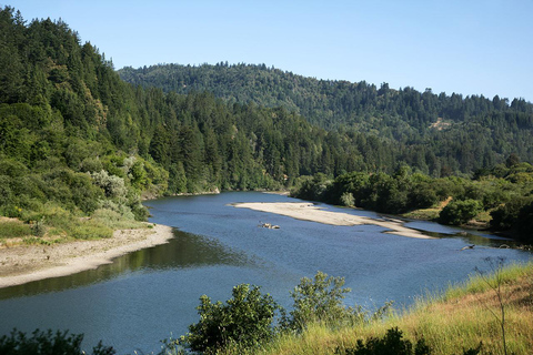 From San Francisco: Redwoods and Wine Tasting