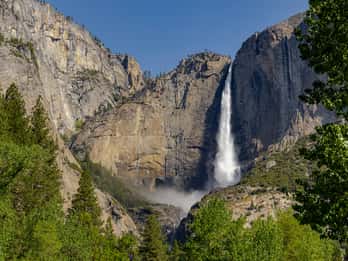 Von San Francisco: Yosemite Tour mit Riesenmammutbaumwanderung Von San Francisco: Yosemite Tour mit Riesenmammutbaumwanderung