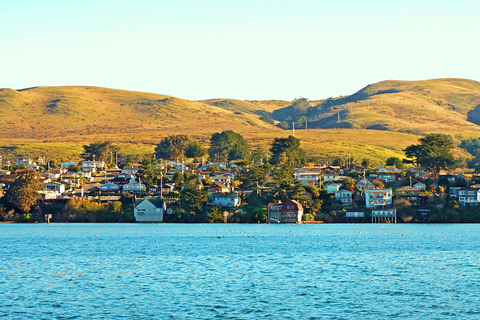 从旧金山出发：红杉、海岸和索萨利托之旅