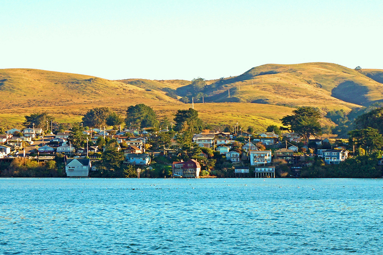 从旧金山出发：红杉、海岸和索萨利托之旅