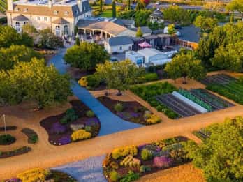 Von San Francisco: Giant Redwoods Tour mit Mittagessen und Wein Von San Francisco: Giant Redwoods Tour mit Mittagessen und Wein