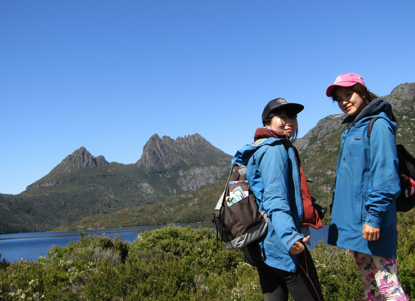 Launceston: Cradle Mountain National Park dagsudflugt med vandretur