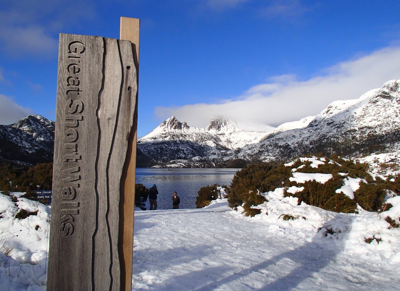 Launceston: Cradle Mountain National Park dagsudflugt med vandretur