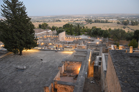 Cordoba: Wycieczka z przewodnikiem po Medina Azahara w nocyWycieczka z przewodnikiem po Medinie Azahara po hiszpańsku bez transportu