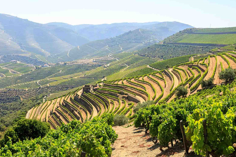 Tour completo pelo Vale do Douro - Visita a 3 vinícolas e almoçoPorto: Douro Valley Wine Tour com almoço