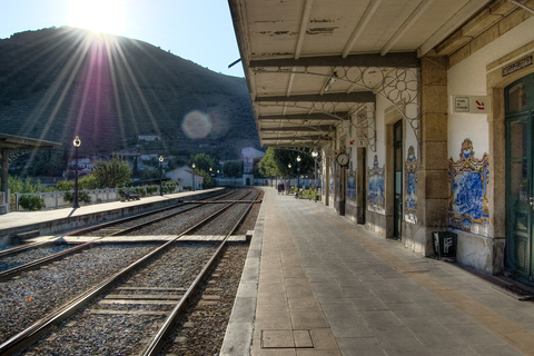 Porto: Douro Valley Weintour mit Mittagessen