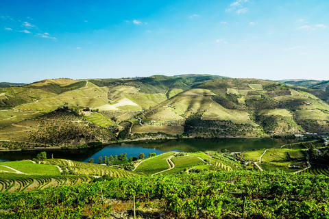 Tour completo pelo Vale do Douro - Visita a 3 vinícolas e almoçoPorto: Douro Valley Wine Tour com almoço