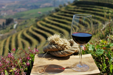 Tour completo pelo Vale do Douro - Visita a 3 vinícolas e almoçoPorto: Douro Valley Wine Tour com almoço