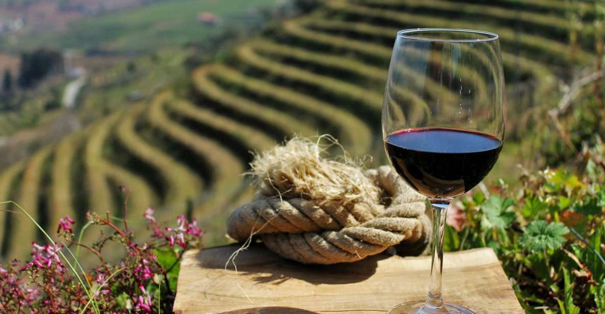 enjoy wine tour