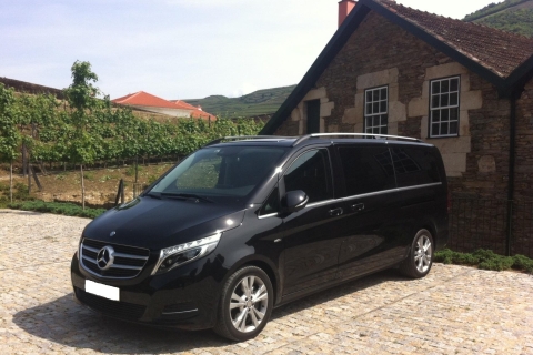 Porto: tour del vino del valle del Duero con almuerzo