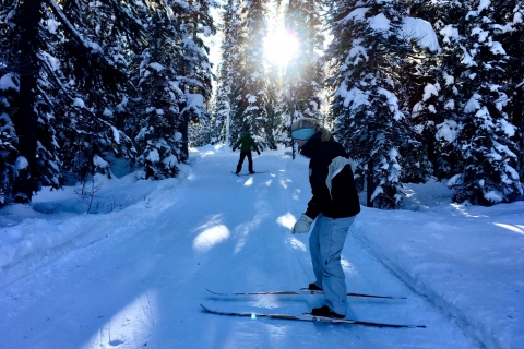 Lake Louise: lekcja narciarstwa biegowego z wycieczką