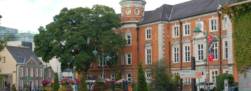 Cork : visite historique guidée à pied