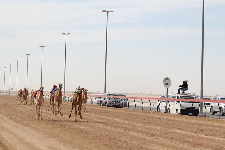 Doha: Gira por la Costa Oeste ,Escultura de Richard Serra, Zekreet