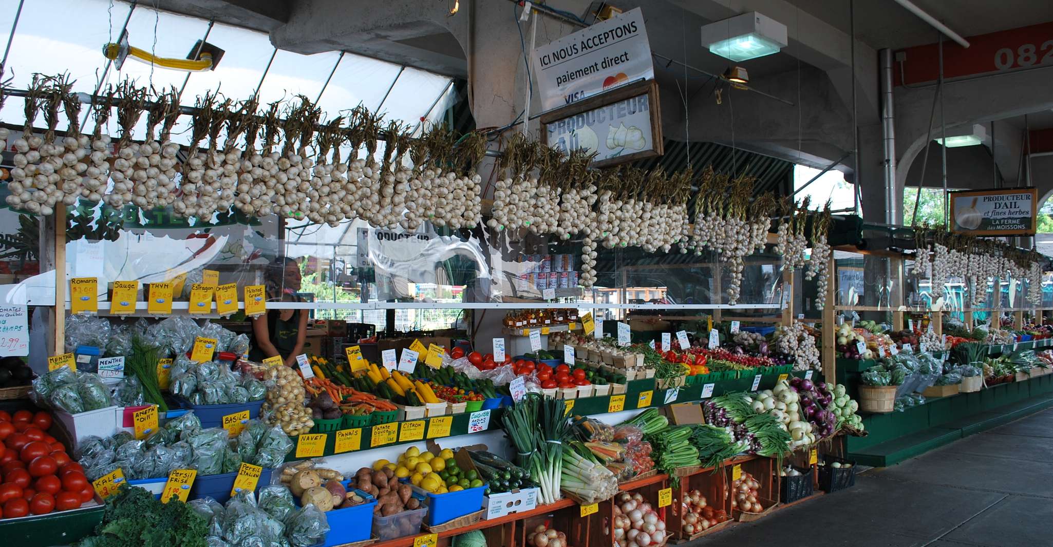 Montreal: Full-Day Small Group City Tour photo 15