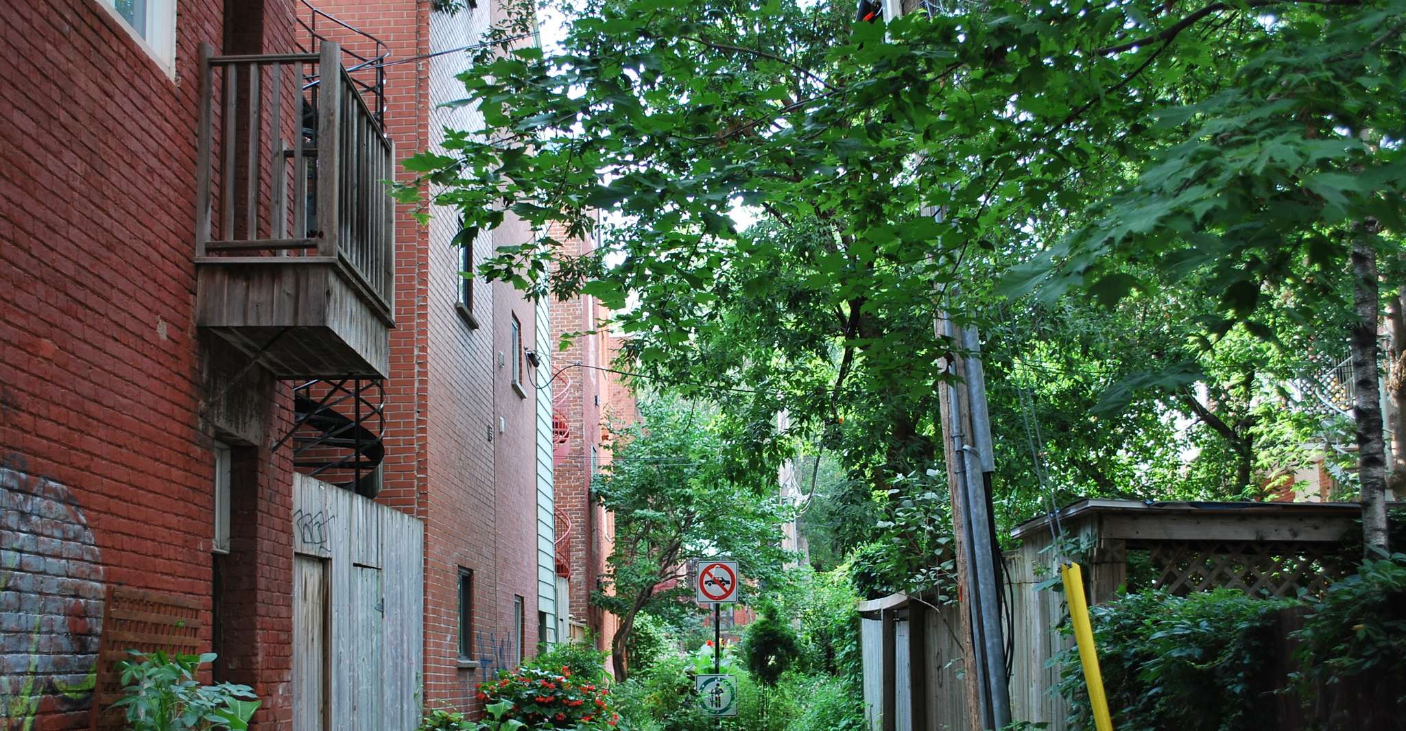 Montreal: Full-Day Small Group City Tour photo 6