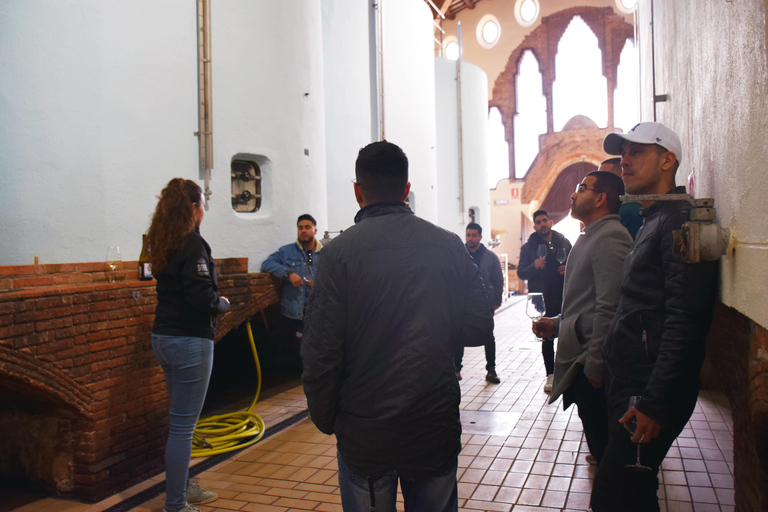 Tarragona: Wine Cathedral Tour Wine, Cava and Food Tasting