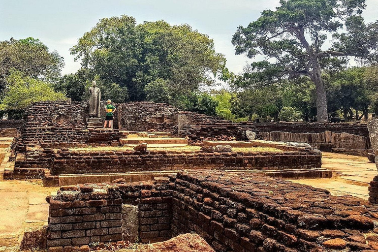 From Trincomalee: Sigiriya Guided Heritage & Wildlife Tour