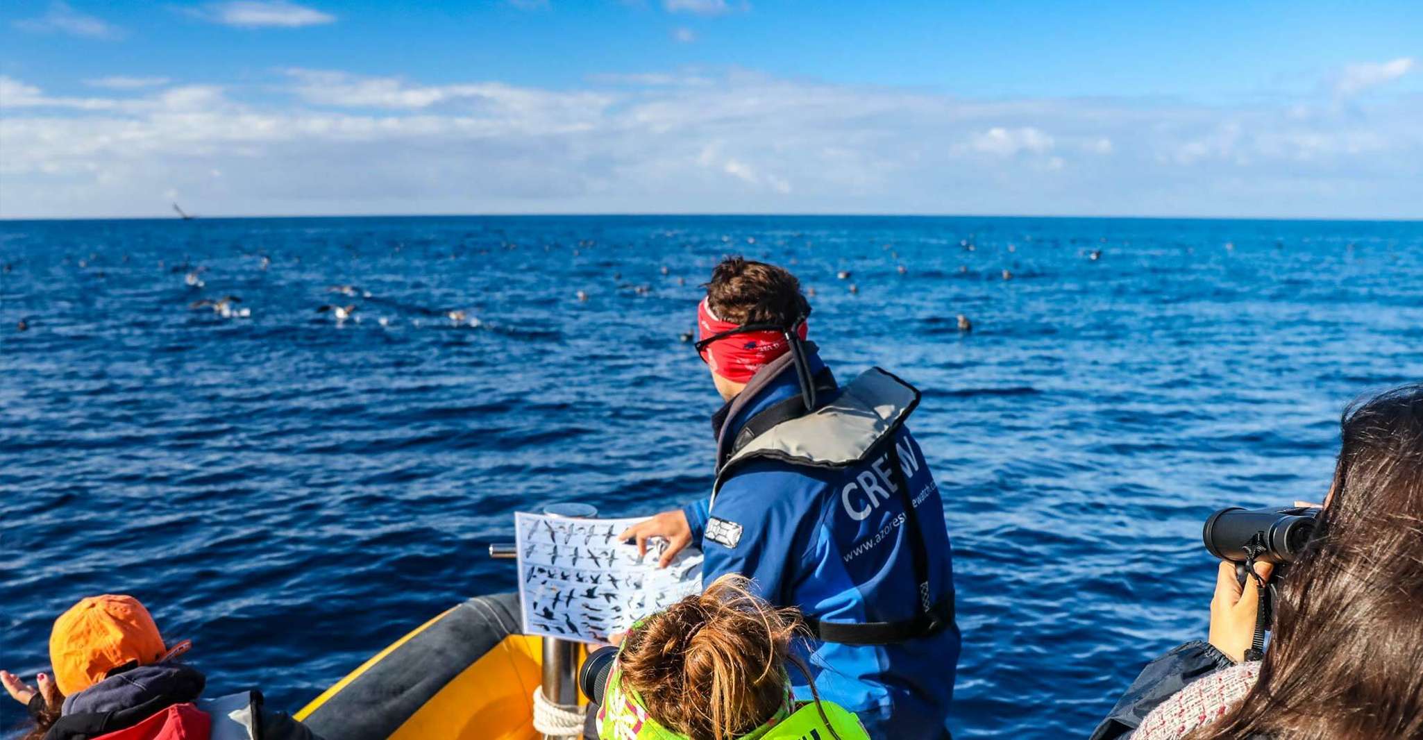 Expedição de Observação de Aves Marinhas dos Açores - Hizvo