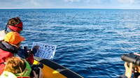 Expedição de Observação de Aves Marinhas dos Açores - Hizvo