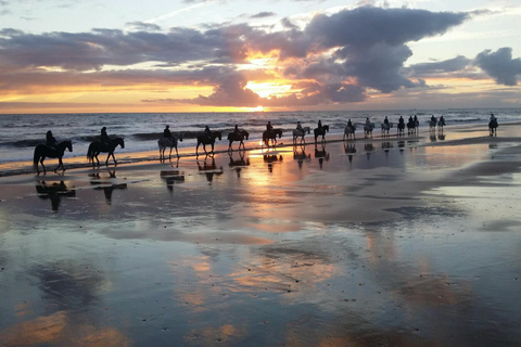 Mazagon: Horseback Riding Experience at Sunset in Doñana