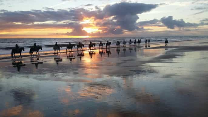 doñana horseback riding experience at sunset