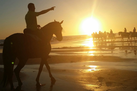 Mazagon: Horseback Riding Experience at Sunset in Doñana