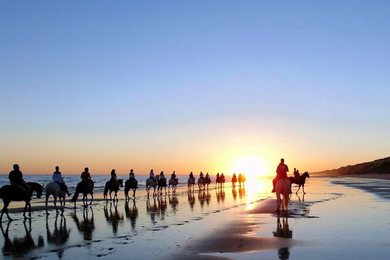 Mazagon: Horseback Riding Experience at Sunset in Doñana