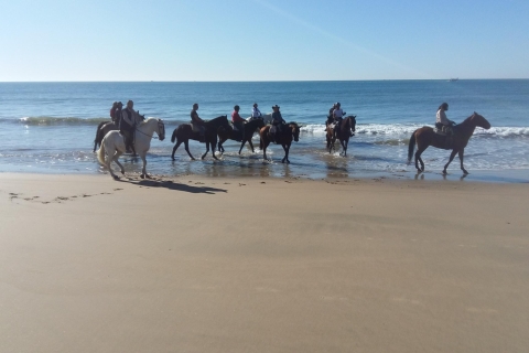 Randonnée à cheval dans le parc national de DoñanaCircuit en groupe partagé