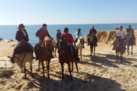 Nationalpark Coto de Doñana: ReittourÖffentliche Gruppentour